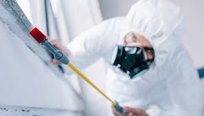 Best Residential Pest Control  in Clarkston, GA